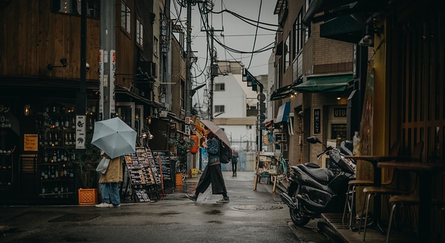First time Japan trip as an electric wheelchair user: feedback on my itinerary (Osaka / Kyoto / Tokyo, Oct-Nov)