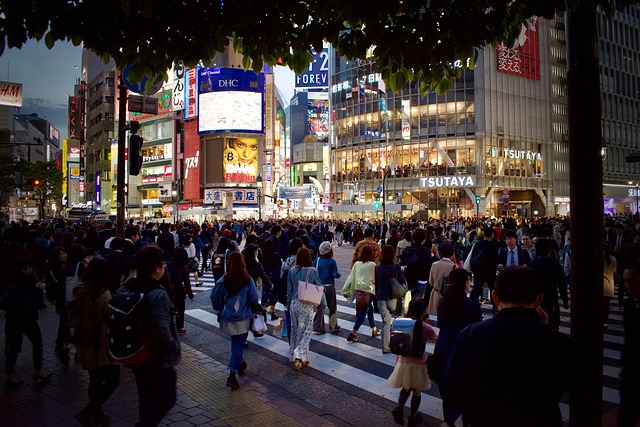 10 days in Tokyo in early June 2025 report