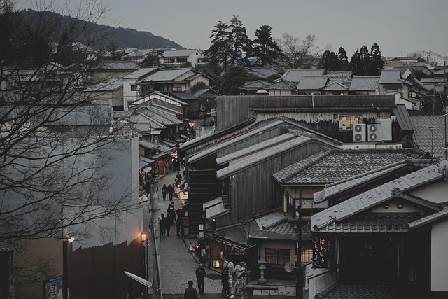Assessing 17-day Itinerary for group of 9, ages 9-76- Tokyo/ Matsumoto/ Kyoto/ Hiroshima