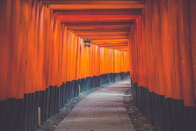 11 day japan itinerary with teens