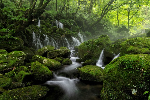 Itinerary Check Tohoku June