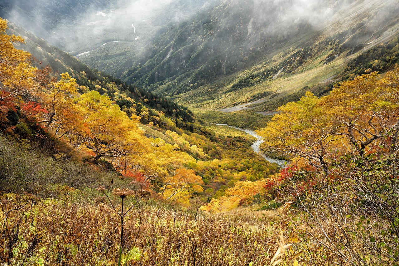 Mastering the “In-Between” Season: A Pro’s Guide to Navigating Japan in May and June